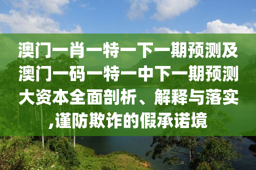 澳門一肖一特一下一期預測及澳門一碼一特一中下一期預測大資本全面剖析、解釋與落實,謹防欺詐的假承諾境