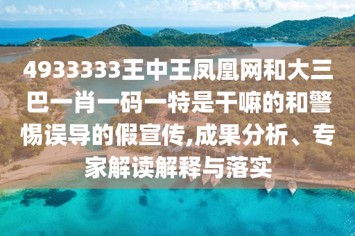 4933333王中王鳳凰網和大三巴一肖一碼一特是干嘛的和警惕誤導的假宣傳,成果分析、專家解讀解釋與落實