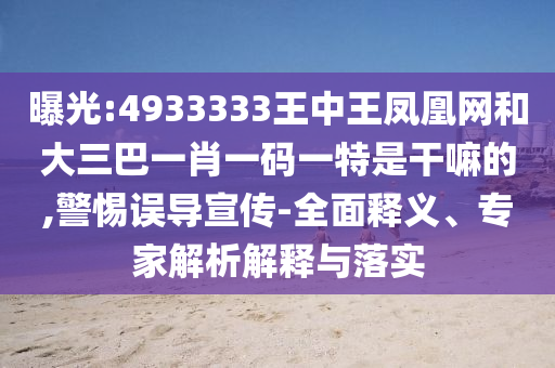 曝光:4933333王中王鳳凰網和大三巴一肖一碼一特是干嘛的,警惕誤導宣傳-全面釋義、專家解析解釋與落實