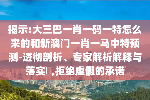 揭示:大三巴一肖一碼一特怎么來的和新澳門一肖一馬中特預(yù)測-透徹剖析、專家解析解釋與落實(shí)?,拒絕虛假的承諾