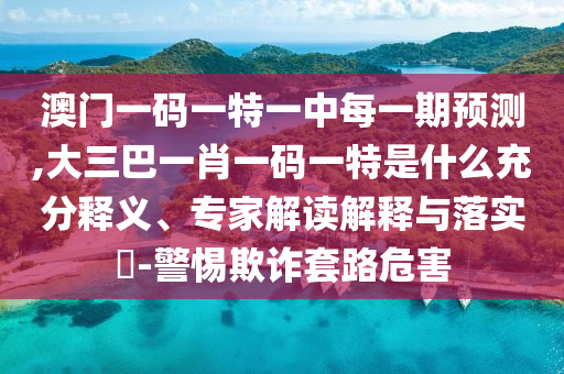 澳門一碼一特一中每一期預測,大三巴一肖一碼一特是什么充分釋義、專家解讀解釋與落實?-警惕欺詐套路危害