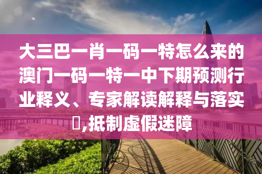 大三巴一肖一碼一特怎么來的澳門一碼一特一中下期預測行業釋義、專家解讀解釋與落實?,抵制虛假迷障