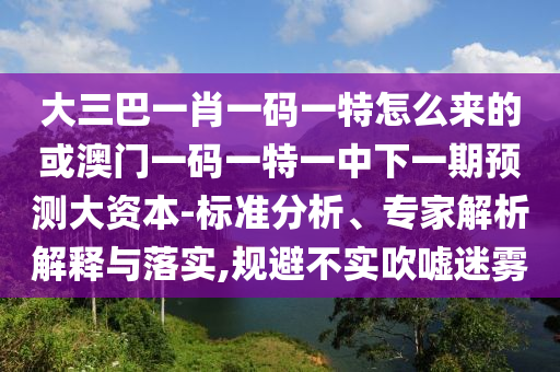 大三巴一肖一碼一特怎么來的或澳門一碼一特一中下一期預測大資本-標準分析、專家解析解釋與落實,規避不實吹噓迷霧