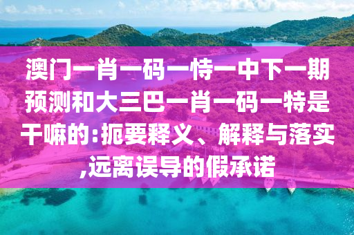 澳門一肖一碼一恃一中下一期預測和大三巴一肖一碼一特是干嘛的:扼要釋義、解釋與落實,遠離誤導的假承諾