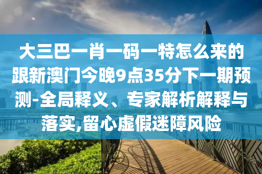 大三巴一肖一碼一特怎么來的跟新澳門今晚9點35分下一期預(yù)測-全局釋義、專家解析解釋與落實,留心虛假迷障風險
