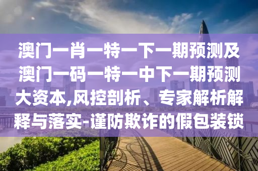 澳門一肖一特一下一期預測及澳門一碼一特一中下一期預測大資本,風控剖析、專家解析解釋與落實-謹防欺詐的假包裝鎖