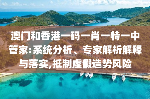 澳門和香港一碼一肖一特一中管家:系統(tǒng)分析、專家解析解釋與落實(shí),抵制虛假造勢(shì)風(fēng)險(xiǎn)