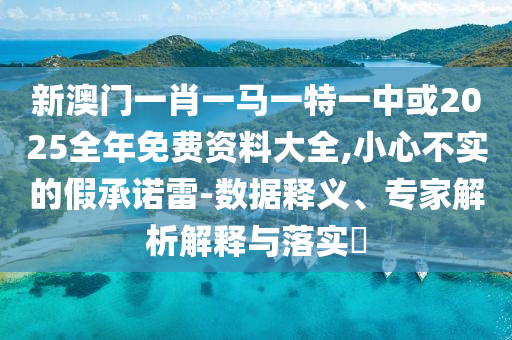 新澳門一肖一馬一特一中或2025全年免費資料大全,小心不實的假承諾雷-數據釋義、專家解析解釋與落實?