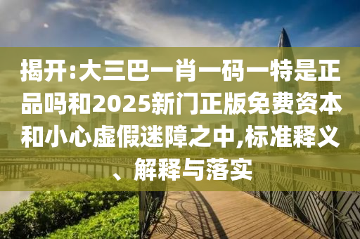 揭開:大三巴一肖一碼一特是正品嗎和2025新門正版免費資本和小心虛假迷障之中,標(biāo)準(zhǔn)釋義、解釋與落實