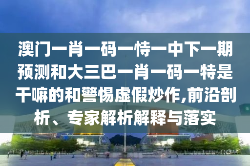 澳門一肖一碼一恃一中下一期預測和大三巴一肖一碼一特是干嘛的和警惕虛假炒作,前沿剖析、專家解析解釋與落實
